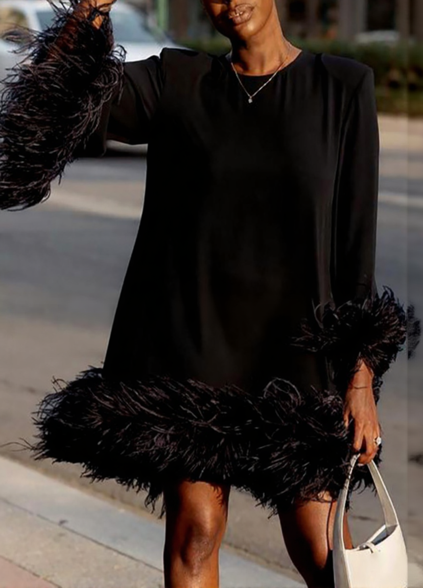 Asymmetrical Feathered Mini Dress
