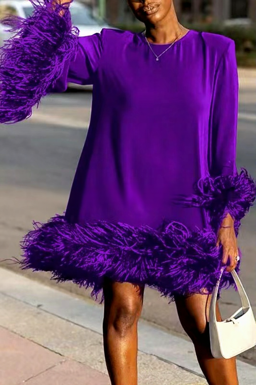 Asymmetrical Feathered Mini Dress