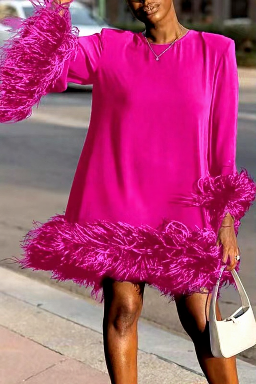 Asymmetrical Feathered Mini Dress
